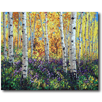 Seasons Of Color