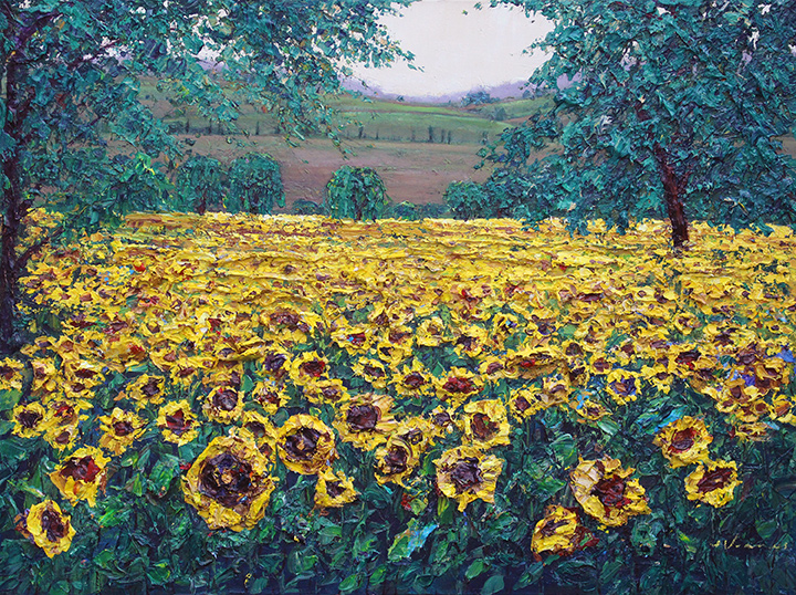 Sunflower Farm