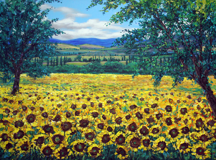 Fields Of Sunshine