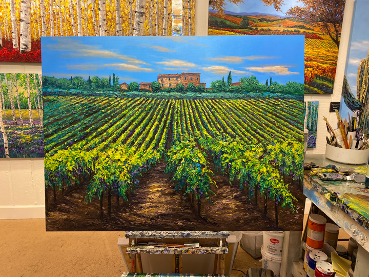 Vineyard Shadows