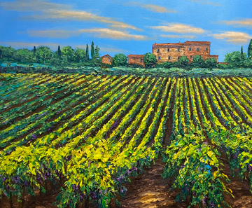 Vineyard Shadows