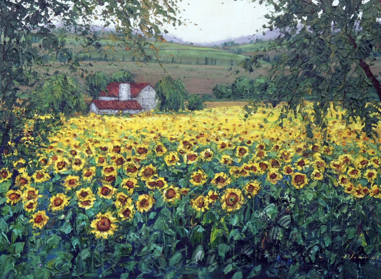 Sunflower Farm II