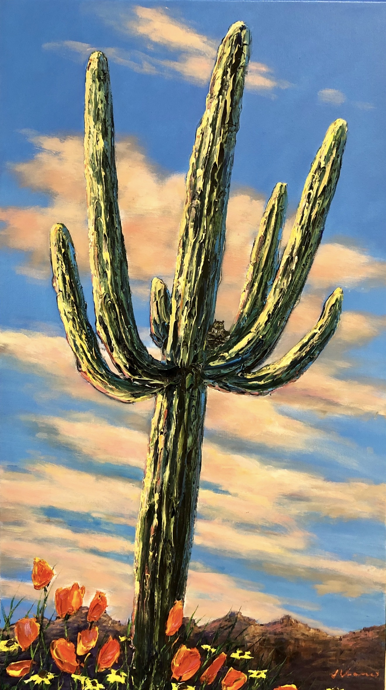Saguaro Delight