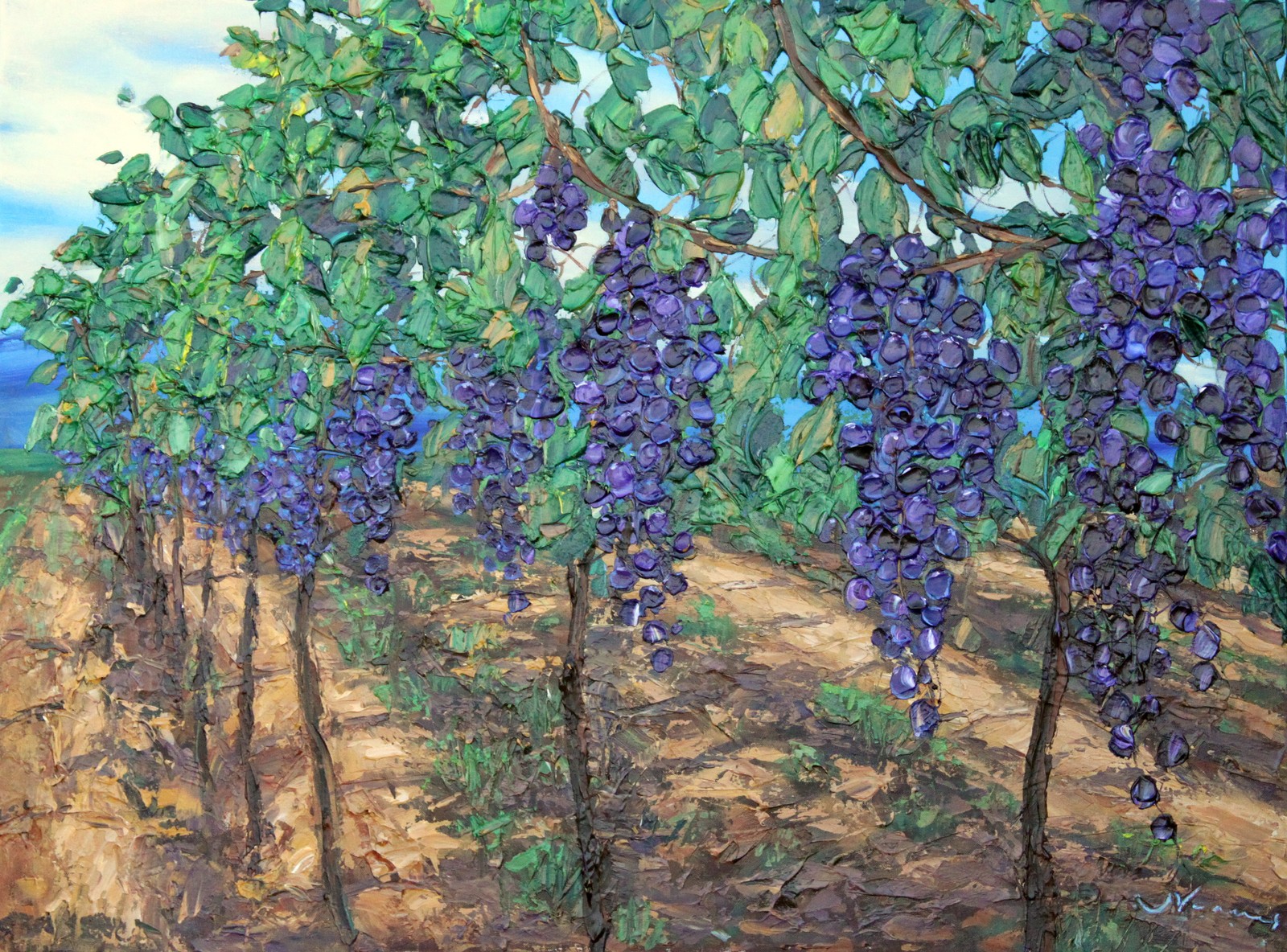 Sun Ripened