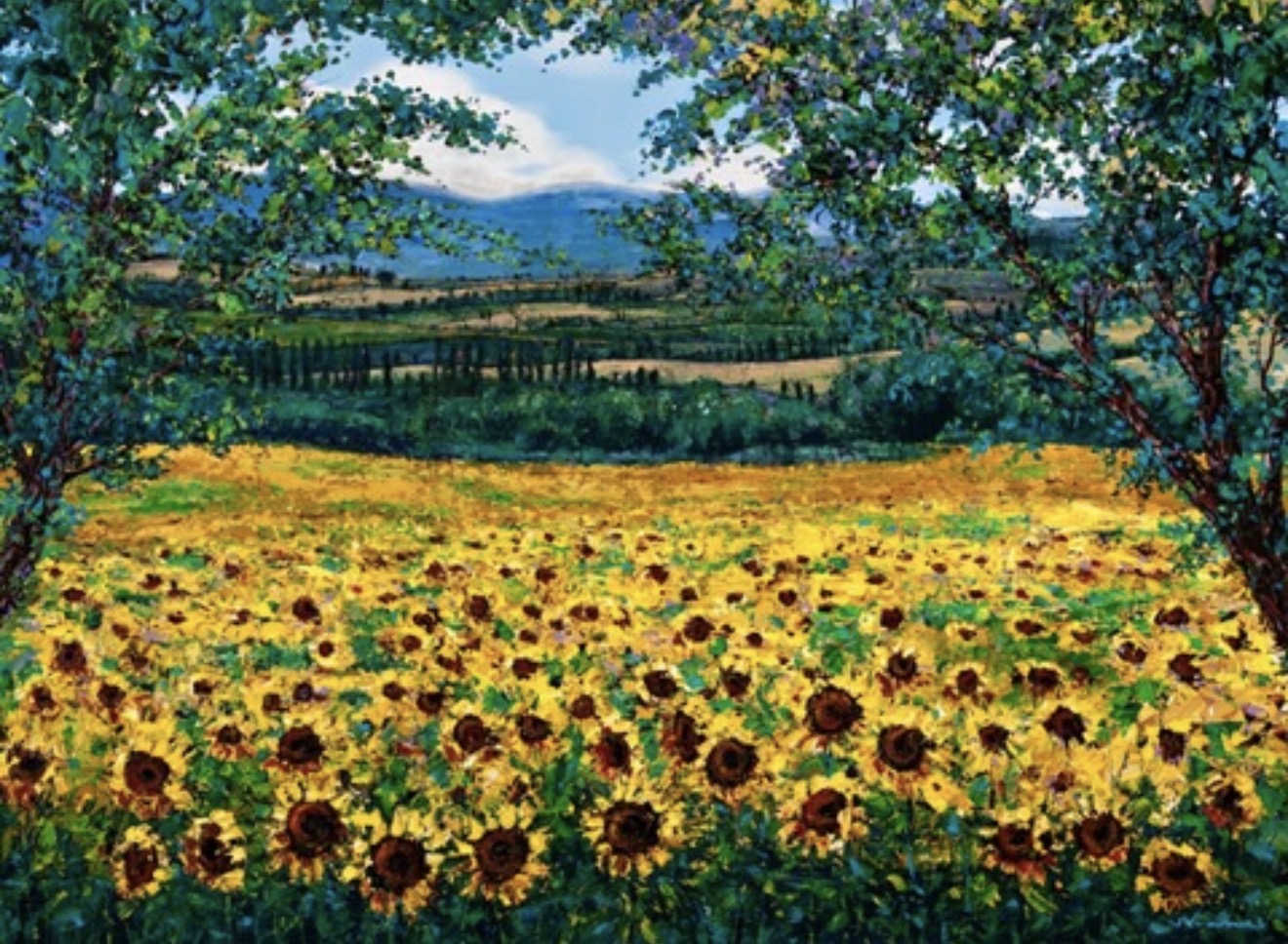 Sunflowers in Tuscany