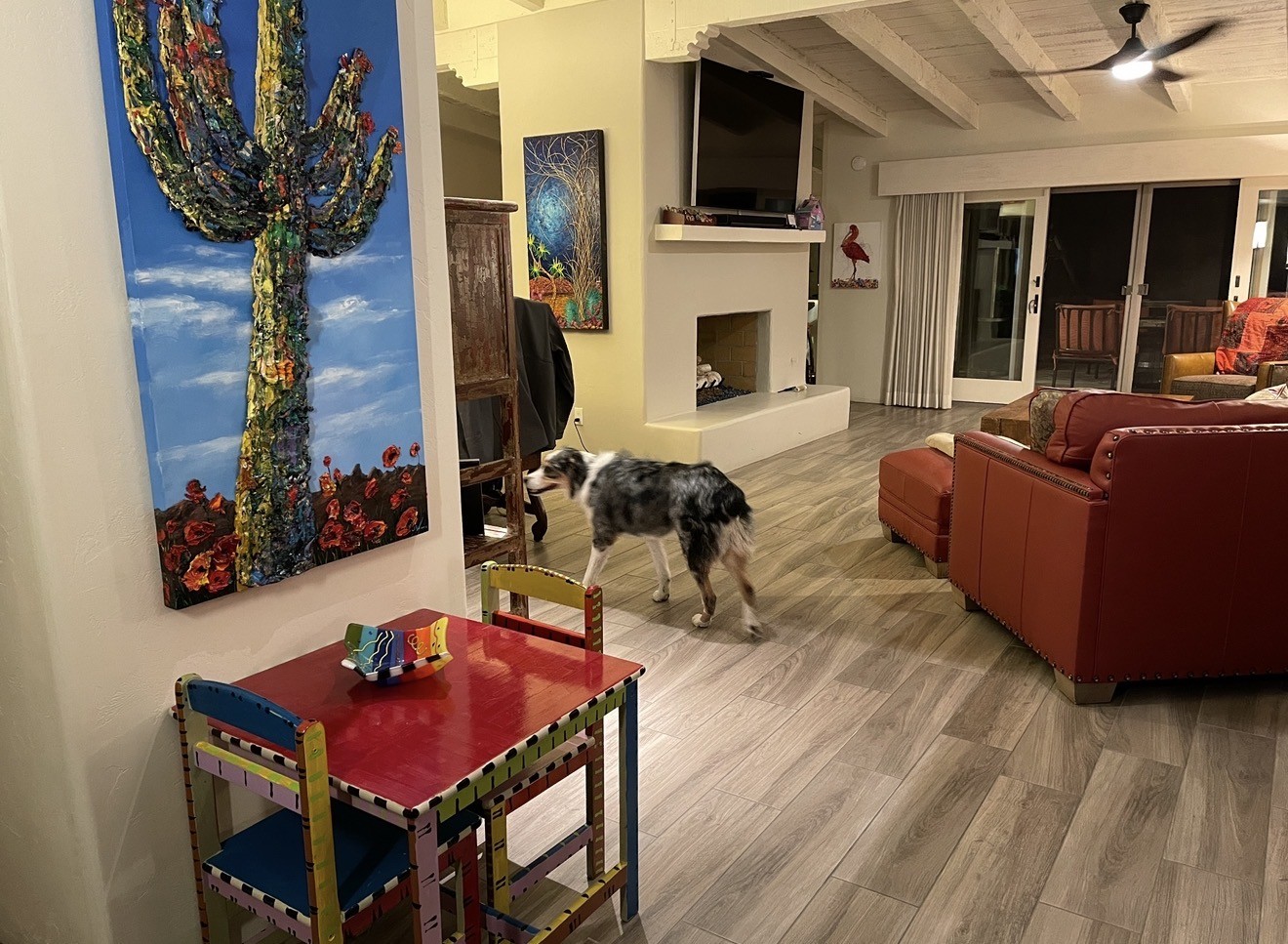 Saguaro Majesty in a collector's home