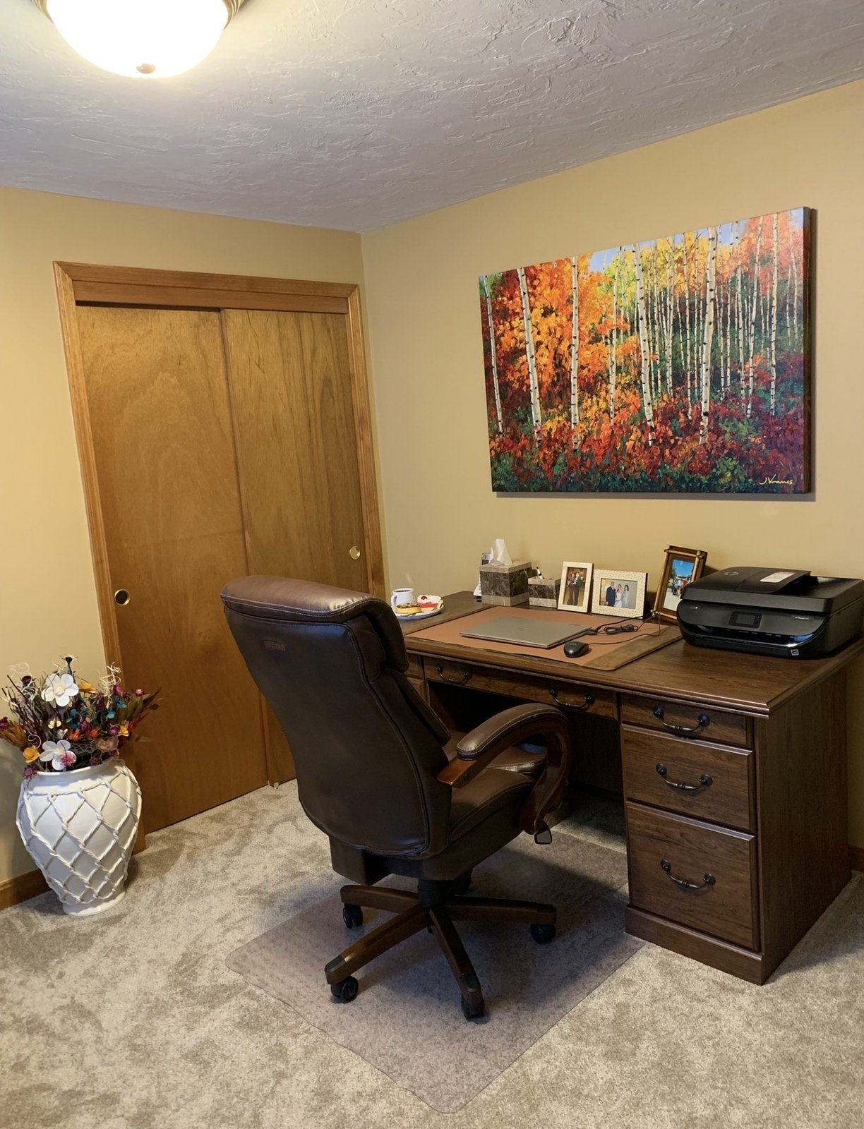 World of Colors in a collector's home