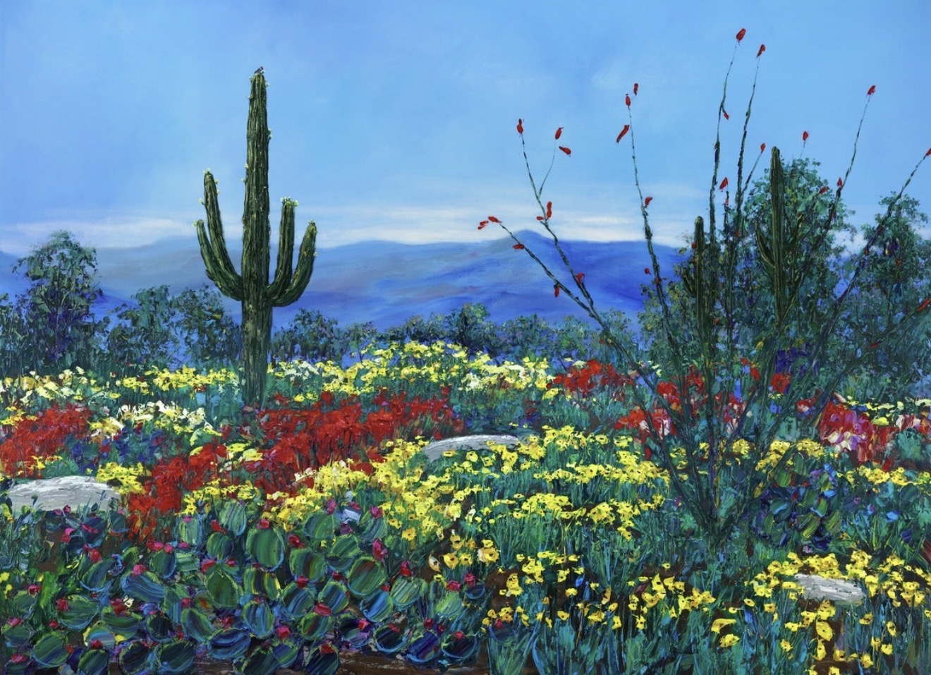 Sonoran Spring
