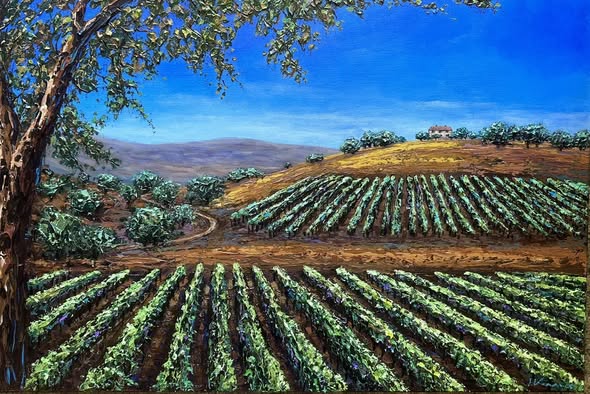 Sonoma Wine Country