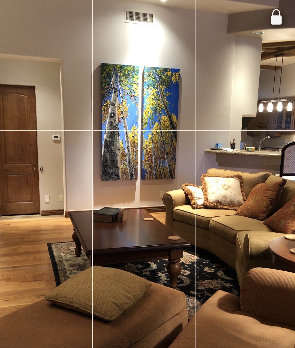 Skyward Diptych in a collector's home