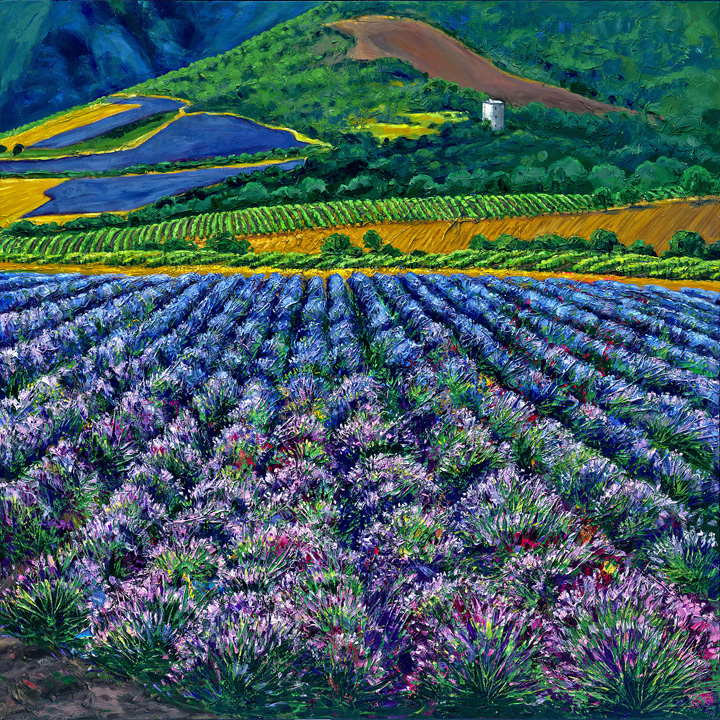 Provence Resplendent — fine art giclée print by Jennifer Vranes