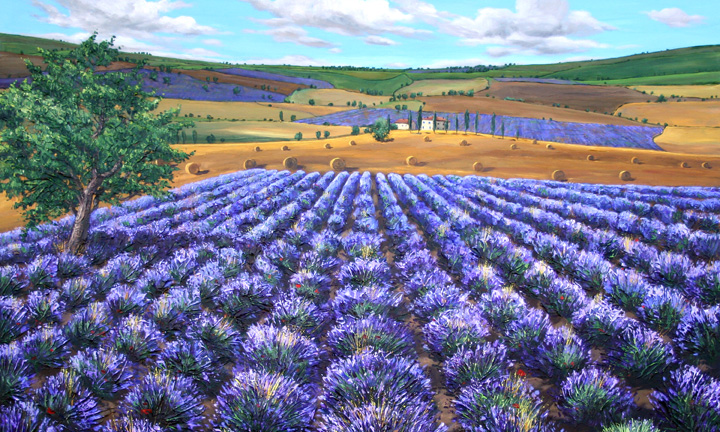 Dreaming of Lavender — fine art giclée print by Jennifer Vranes
