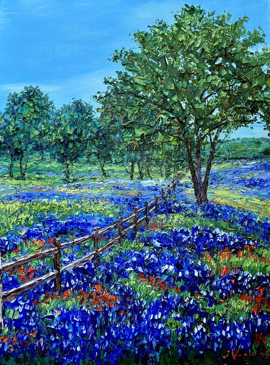 Bluebonnets in Spring