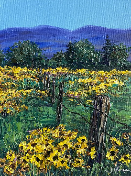 Homestead Daisies