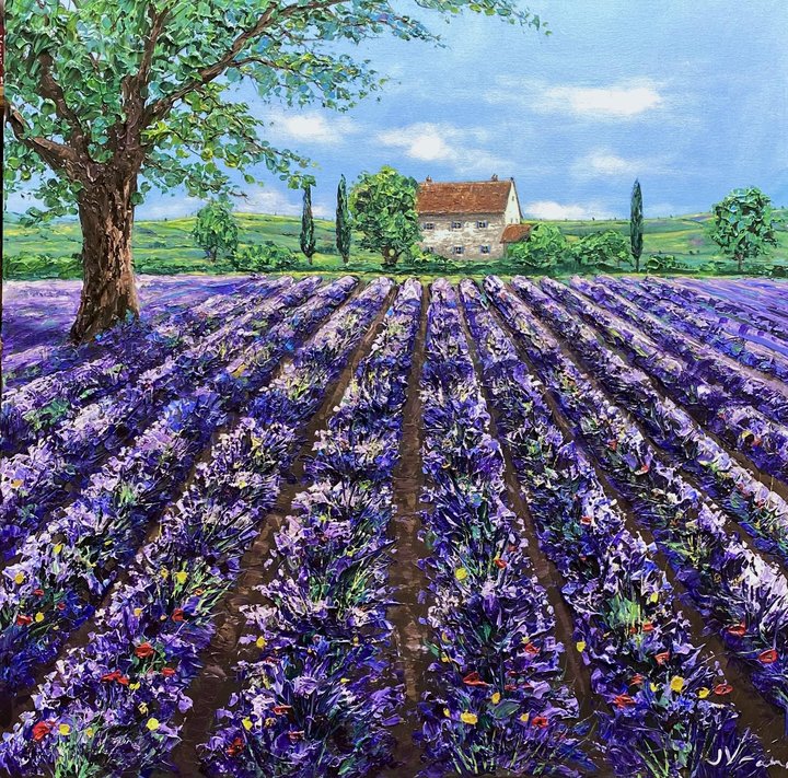 Lavender in Provence