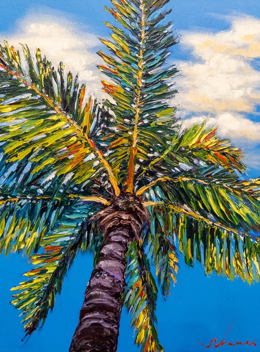Paradise Perspective