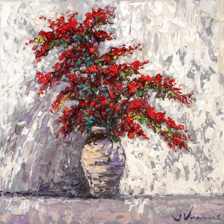 Red Bougainvillea