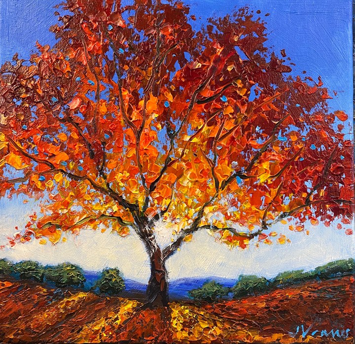 Sunlit Maple